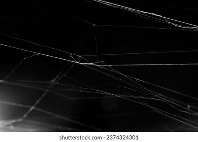 Close up of spiderweb on black background. Cobweb spider messy asymetrical web isolated. Black and white graphic. - Powered by Shutterstock