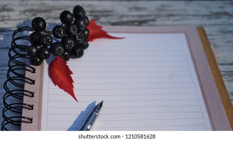 A close up of spiral notebook with fountain pen and autumn fruits and leaves, with space for text, on the white wooden background