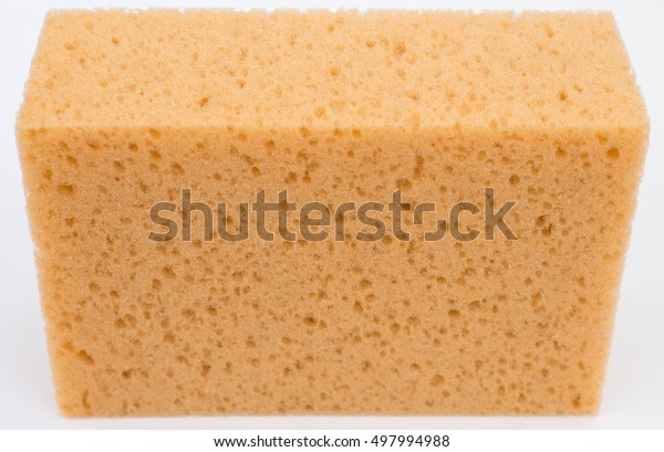 Close up of a sponge, detail, background, isolated\
on white