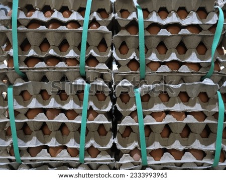 Close up Stack of Egg in Tray.