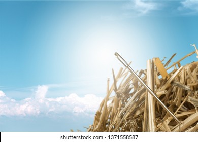 Close stack needle hay yellow background object