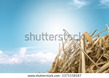 Close stack needle hay yellow background object