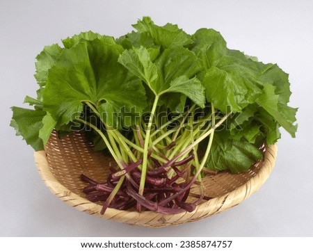Close up of stacked raw butterbur with green leaf and red stem on bamboo basket and white floor, South Korea
