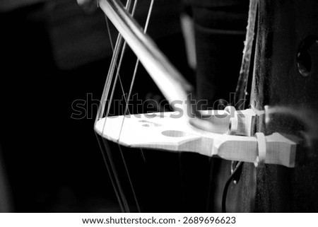 Close up of a stand up bass stringed and bow