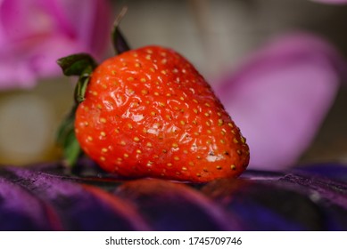close up of a strawberry
