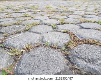 Close Up Street Cement Hexagonal Floor Background. 