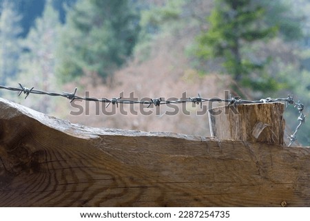 Close up stretched barbed razor wire over rustic wood wooden solid fence blurred background concept for border being locked up not allowed and restricted area