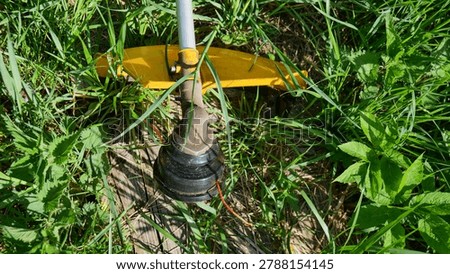 Close up of string trimmer head in tall grass showing gardening and vegetation cutting equipment detail