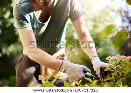Close up of strong man in gloves cutting leaves in his garden. Farmer spending summer morning working in garden near countryside house.