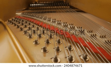 Close up studio shot of classical piano and musician. Shot inside the piano with wooden parts, strings, hammers striking sounds creating melody.