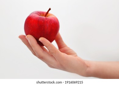 Close up studio shot of female hand holding fresh apple. Isolated on white background. Red apple.