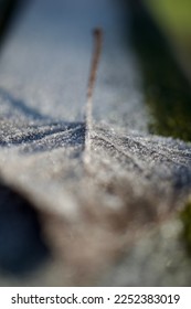 Close up study of tree leaf with frost highlighting veining on leaf using selective focusing.