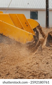 Close Up Stump Grinding Large Tree Stump