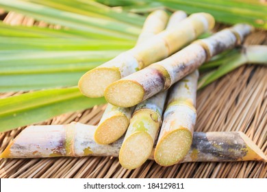 Close up Sugarcane - Shutterstock ID 184129811