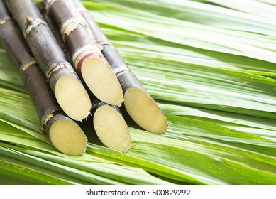 Close Up Sugarcane.