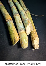 Close Up Of Sugarcane On A Black Background 