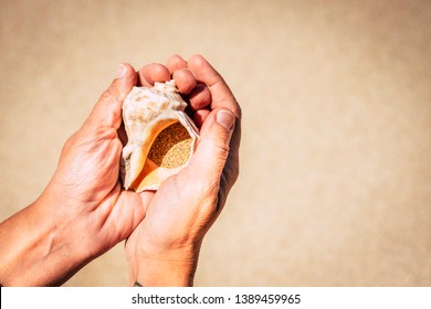 Close up for summer holiday vacation concept and respect for the nature outdoor planet - woman caucasian hands taking with care a shell full of sand at the beach - environment concept