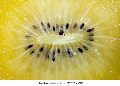 Close Up Of SunGold Kiwi Fruit Slices