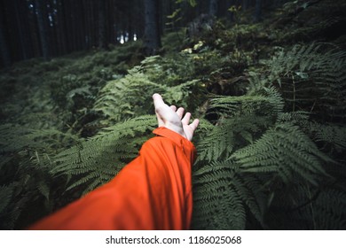 Close up of survival concept of a human hand looking for help and searching directions in the jungle-forest-fern - Shutterstock ID 1186025068