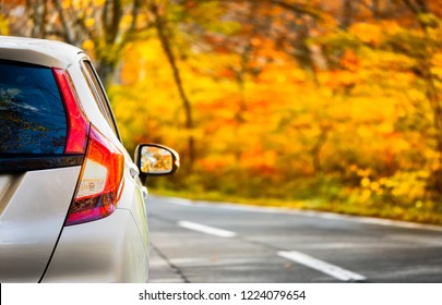 Close Up Tail Lamp Of The Car On The Road Or Gold Line In The Forest During The Autumn Season With Blur Forest And Leaves Change Color Background In Travel And Transportation Concept