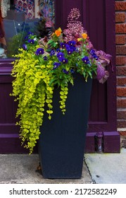 Close Up Of A Tall Flower Pot With An Array Of Plants And Flowers Sitting In Front Of A Shop Window Display.