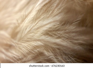 studieafgift Blaze tofu Neutral Nature Texture Images, Stock Photos & Vectors | Shutterstock