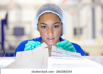 Close Up Of A Technician Placing Solar Cells On The Panel In The Factory