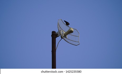 Close Up Of A Telecommunication Monopole Tower Structure Fitted With Omni Directional Antenna
