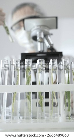 Close up of test tubes with a scientist analyzing plant samples in test tubes with a microscope, conducting research in a laboratory. Medicine, healthcare and science concept