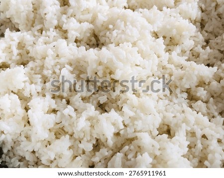 Close up texture of cooked white rice, perfect for food background, texture, and carbohydrate concept in minimal composition. 