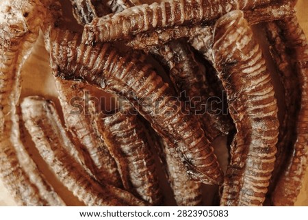 Close up texture of dried beef trachea for dogs. Natural single ingredient chew rich in collagen without artificial additives or preservatives