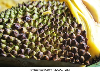 Close Up Texture Of Jackfruit Skin