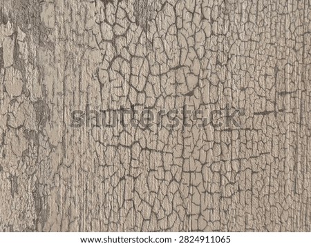 Close up texture of light beige weathered wood featuring fine dark crackle lines, rustic crazing, and a distressed aged finish.