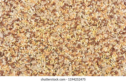 Close Up Of A Texture Multigrain