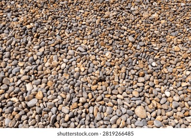 Close up texture of natural rounded pebbles covering a British beach with smooth flint stones in mixed earthy colours creating a detailed coastal background ideal for texture design and nature 