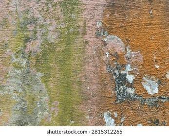 Close up texture of old weathered wall with green moss, orange rust, pink peeling paint and black mold, colorful grunge background