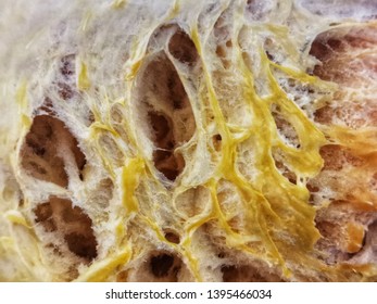 Close up of texture pumpkin. Abstract background