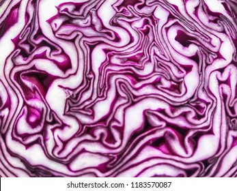 close up texture of purple cabbage