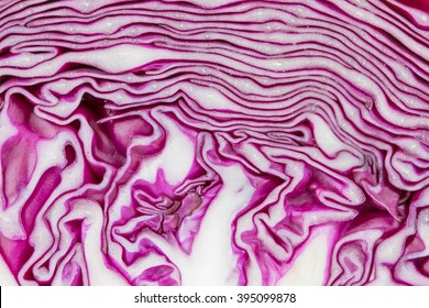 close up texture of purple cabbage