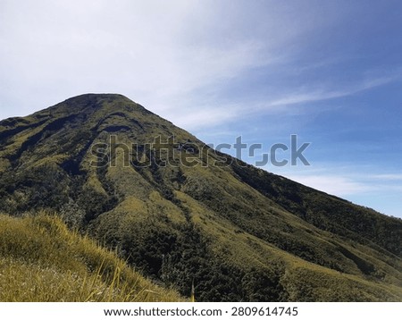 Close up texture of a steep green mountain slope with natural ridges and valleys