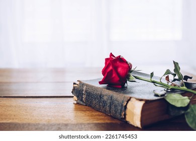 close up of thr red rose on old bible on wooden table with window light, white curtain background copy sapce for text, Christian devotion bible study concept