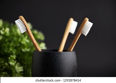 Close up of three bamboo toothbrushes in a black glass with plant on a dark background