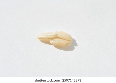 Close up of three fresh white rice grains on a bright background.