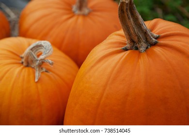 Close up of three orange pumpkins with selective focus as a background and space for text.