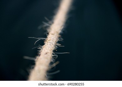 Close Up Of Tight Rope Isolated On Dark Background