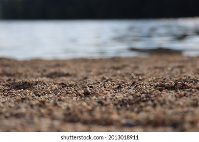 Close Up Of Tiny Rocks And Sand On Beach Macro Micro Photography Of Dirt Sandy Details In Summer Outdoor Sun Browns And Grays With Rock Color Variation Of Natural Texture Rough Earth Tones Tone Ground