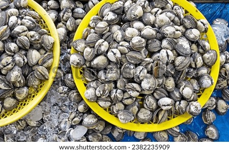 Close up and top angle view of stacked raw cockles on yellow plastic baskets for sale at a fish market, South Korea
