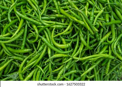 Close Up Top View Of Freshly  Harvested  Green Chillies ,capsicum, Displayed In Weekly Market For Sale In Maharashtra, India. 