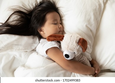 Close Up Top View Lying In Bed Toddler Asian Girl Hugs Her Favorite Plush Animal Dog Toy Sleeping Calm See Sweet Dreams Enjoy Comfy Mattress, Dry Diaper, Soft Pillow Fresh Bedding, Healthy Nap Concept