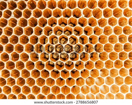 Close up top view of natural empty honeycomb pattern texture backdrop.